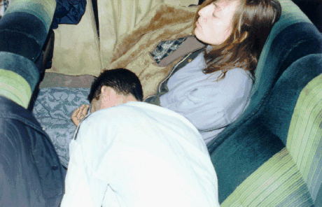 What is derek looking for?